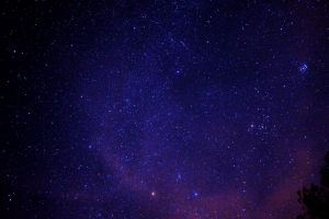星空 星星 树 空间 4k壁纸 3840x2160