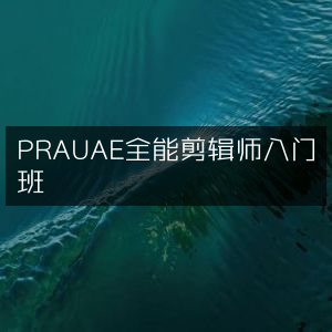 PR AU AE剪辑全能入门课程