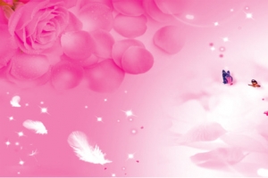 粉色玫瑰蝴蝶全屏海报背景