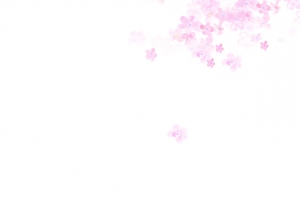 粉色唯美花瓣艺术