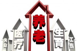 保险，五险，工作