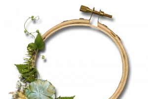 手绘植物装饰花环高清PNG透明边框设计素材免费下载