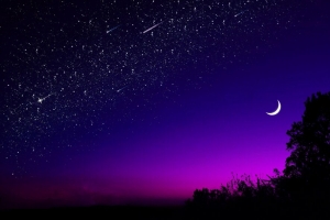 月亮 树 星空 夜晚 星星 深色 4k壁纸 3840x2160