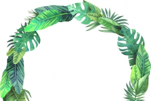 夏日灌木丛树叶边框