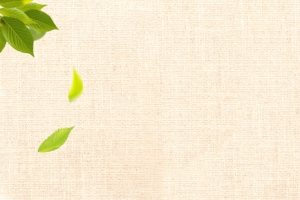 清新自然海报banner背景