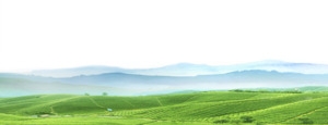 温馨绿色风景