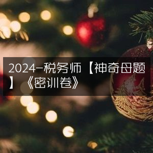 2024税务师《神奇母题密训卷》精华版
