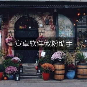 安卓应用，微粉助手优化版