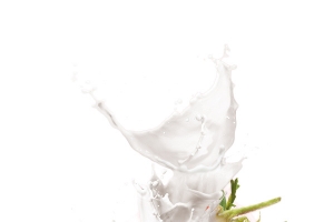 草莓碰撞牛奶