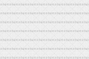 禁止盗图系列全屏水印2