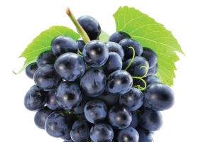 葡萄黑提