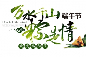 万水千山粽是情