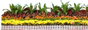 景观林园庭院花坛花圃