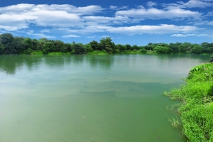 风景素材背景