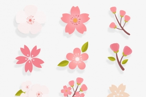 樱花透明装饰