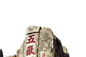 泰山