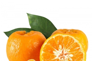 粑粑柑 橘子 新鲜橘子 两瓣儿