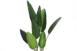 家居装饰绿植盆栽