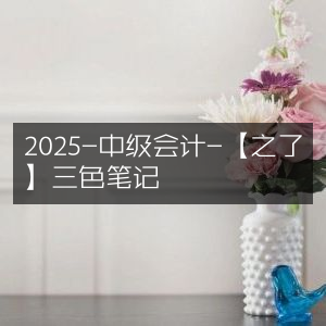 2025年中级会计备考必备，【之了】三色笔记