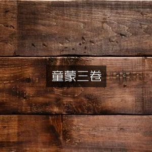 童蒙训三卷，古典文集精选