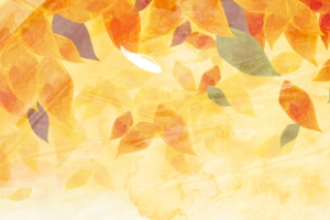 唯美花瓣淘宝女装高清PNG透明背景banner海报设计素材免费下载