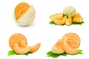 六种不同形态的哈密瓜