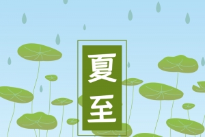 夏至荷叶西瓜背景