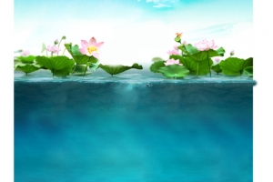 背景