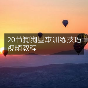 20节犬类基础训练视频教程合集