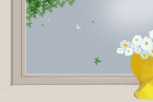 小清新 窗 花 枫叶 绘画 原创4k电脑壁纸