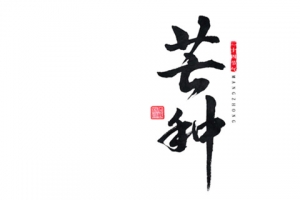 书法芒种