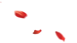 玫瑰花瓣漂浮素材