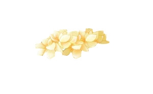 古风免扣 红色花瓣