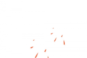 红色水墨烟花
