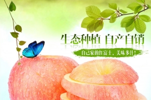 淘宝绿色简约清新水果PSDA主图背景素材