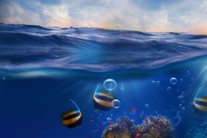 大海海底合成海报