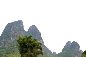 自然中一叶木筏舟