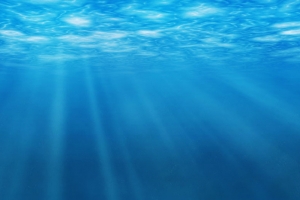 海底首图