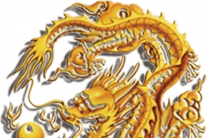 龙喜珠背景图案