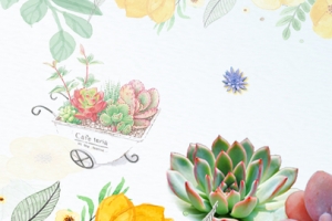 植物家装多肉促销banner