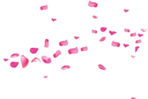 粉色婚礼喜庆设计