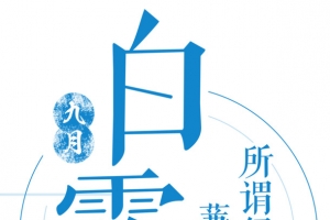 海报设计白露小清新海报设计