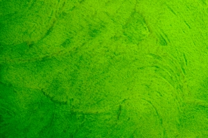 绿色水彩质感纹理设计banner