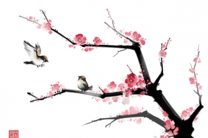粉色梅花水墨画
