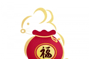 2020年金鼠送福福袋