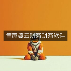 管家婆云端财务软件，高效财务管理解决方案