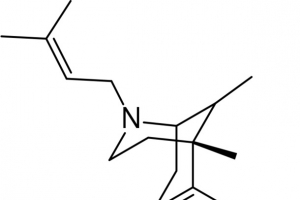 简洁卡通化学公式