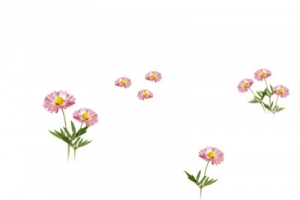 花卉矢量素材庆典花卉