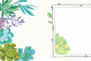 手绘多肉背景边框多肉电商banner