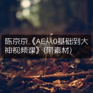 陈京京AE视频课，0基础直达大神级（含素材）